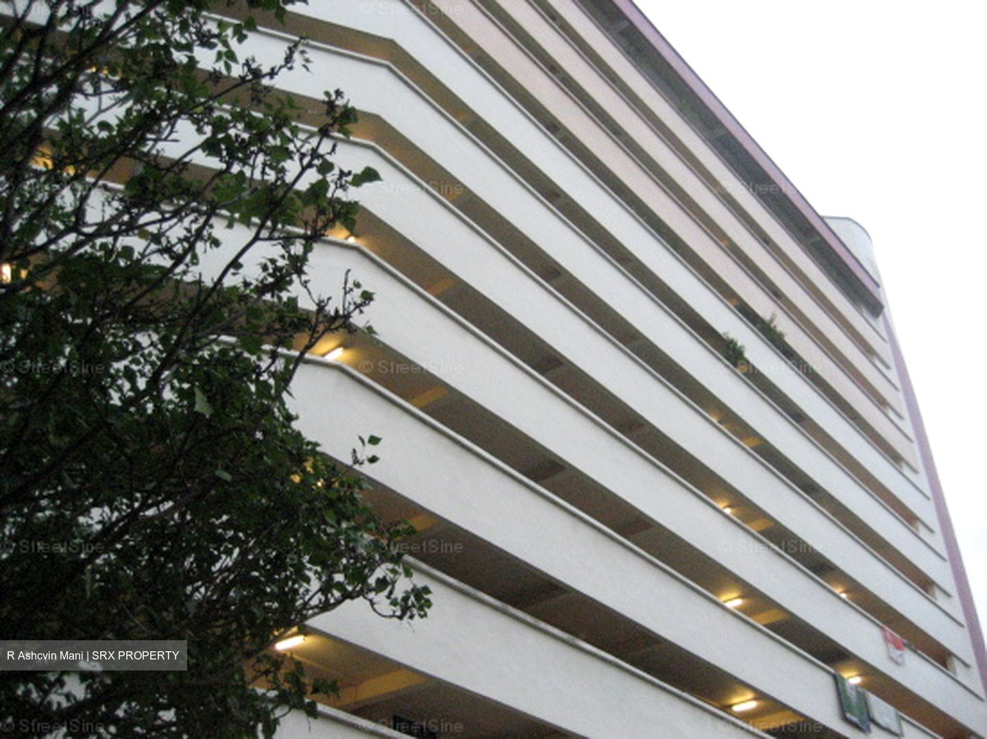 Blk 50 Chai Chee Gardens (Bedok), HDB 3 Rooms #638124601